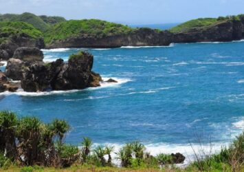 URL: Pantai Pasir Putih Yogyakarta Bagi anda yang suka berkunjung ke pantai pasti tidak asing lagi dengan pantai-pantai yang berada di Yogyakarta. Namun tidak banyak pula para pelancong yang merasa kurang puas menikmati keindahan pantai tersebut dikarenakan banyaknya pengunjung. Ditambah lagi jika tujuan anda pergi ke pantai untuk menenagkan diri, sudah pasti menginginkan tempat yang sepi dan asri. Tapi tenang saja dibawah ini akan diberikan raangkuman mengenai beberapa pantai di Gunung Kidul Yogyakarta yang masih dapat dikatakan sebagai pantai “Perawan”, dikarenakan masih sepi atau sedikit sekali wisatawan yang berkunjung. Tanpa basa basi lagi, mari kita simak rangkuman tentang pantai-pantai tersembunyi di Gunung Kidul Yogyakarta. 1. Midodaren Photo by Google Maps Haidar Abdurrahman Pantai Midodaren termasuk dalam daftar pantai “Perawan” dikarenakan masih sangat sedikit sekali wisatawan yang bertandang ke pantai ini. Hal ini mungkin dikarenakan akses jalan yang masih jelek dan perjalanan yang harus ditempuh dari jalan utama menuju pantai ini lumayan jauh. Belum lagi jalan menuju pantai masih berupa batu-batu terjal dan tanah kapur, ditambah tebing disamping jalan setapak yang rawan longsor menambah kesan menakutkan saat kita melewatinya. Namun, jika anda sudah sampai di tempat tujuan maka semua kelelahan dan ketakutan selama diperjalanan akan terbayarkan karena keindahan pantai Midodaren ini. Pantai ini terdiri dari dua tempat yaitu bagian atas dan bawah. Bagian atas berupa karang dan rumput yang membentuk padang stepa, sedangkan dibagian bawah bibir pantai dengan pasir putih. Jika anda tertarik untuk turun kebaawah, anda dapat menggunakan tangga pengunjung dengan biaya sebesar Rp. 2000 setiap orang. untuk biaya parkir sepeda motor anda dapat mengeluarkan uang sebesar Rp. 3000. Lokasi: 2. Peyuyon Photo by Google Maps Satria Raka Siwi Berada disebelah timur Pantai Midodaren, terdapat Pantai Peyuyon yang sama halnya dengan Pantai Midodaren yaitu masih sepi pengunjung. Hamparan pasir putih yang dipadukan dengan birunya air laut yang bercampur warna hijau akan menambah keindahan Pantai Peyuyon. Selain itu tanaman pandan yang tumbuh lebat disana akan menambah kesan tersendiri bagi pengunjung yang bertandang kesana. Dikarenakan Pantai Peyuyon ini termasuk dalam kategori pantai yang masih baru, maka akses jalan menuju pantai masih sangat jelek. Jalanan berpatu dan jalanan berpasir adalah hal yang akan anda lalui saat akan menuju bibir pantai. Lokasi: Desa Kanigoro, Kec. Sapto Sari, Kab. Gunung Kidul, DI Yogyakarta. 3. Greweng Photo by Google Maps Dicky Darmawan Jika anda menyukai tantangan, Pantai Greweng patut dimasukkan kedalam daftar traveling anda. Pasalnya, akses menuju Pantai Greweng sangat sulit dikarenkan anda harus melewati perekebunan milik warga dengan jalan becek, tumbuhan ilalang, dan jalan setapak yang sempit. Bahkan jarak antara pantai utama dengan tempat penitipan sepeda motor cukup jauh dikarenakan pantai ini masih sangat tersembunyi karena berada di balik kebun milik warga. Sesudah sampai di pantai ini anda akan disajikan pemandangan pantai yang diapit dua batu karang besar dan terkesan tertutup. Sehingga tidak heran apabila pantai ini disebut-sebut sebagai private beach karena akses jalan yang cukup sulit menjadikan banyak wisatawan enggan jika harus berkunjung ke pantai ini, membuat anda yang bertandang ke pantai ini merasa menikmati keindahan pantai ini sendirian karena tidak ada yang menikmatinya selain anda. Lokasi: Jl. Pendowo, Jepitu, Kec. Girisubo, Kab. Gunung Kidul, DI Yogyakarta. Anda mulai tertarik dengan salah satu pantai tersembunyi diatas? Jika anda ingin menenagkan diri sekaligus berpetualang, maka pantai-pantai tersebut dapat anda jadikan referensi berlibur bersama teman, keluarga, ataupun orang tercinta. Selamat berlibur dan bersenang senang.