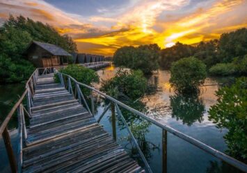 Wisata Alam Jakarta yang Gak Bikin Gerah