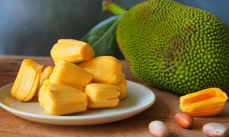 Buah Nangka Bisa Bantu Menurunkan Berat Badan?