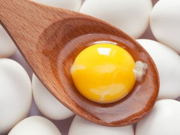 7 Efek Baik Kuning Telur Bagi Tubuh Manusia