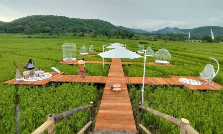 Menoreh Sky Bridge, Spot Foto Bernuansa Alam di Kulon Progo