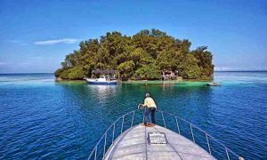 Pulau Burung, Menikmati Pesona Bawah Laut di Kepulauan Seribu