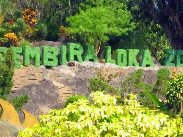 Gembira Loka Zoo Jogja: Sejarah, Daya Tarik, dan Rute Menuju Lokasi