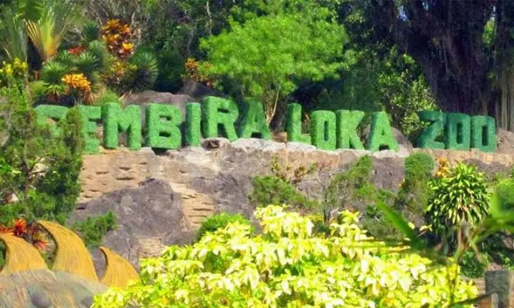 Gembira Loka Zoo Jogja: Sejarah, Daya Tarik, dan Rute Menuju Lokasi
