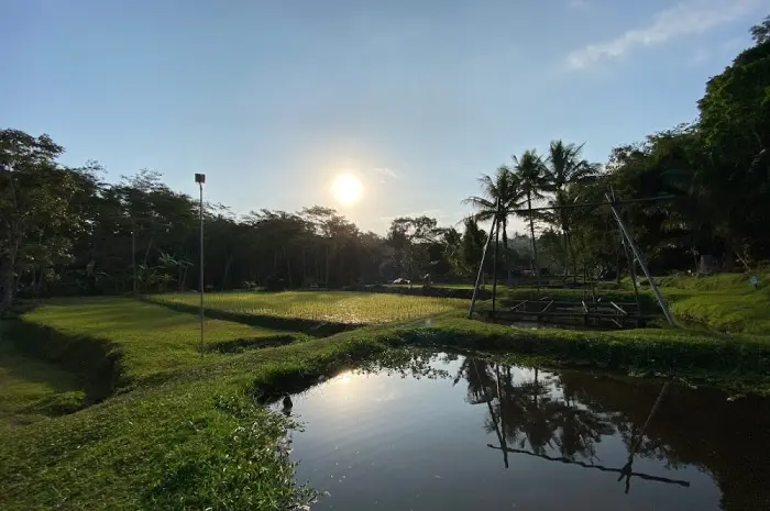 Desa Wisata Ledok Sambi