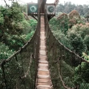 Bukit Bangkirai, Objek Wisata Alam Hits dengan Panorama Alam Memukau di Kutai Kartanegara