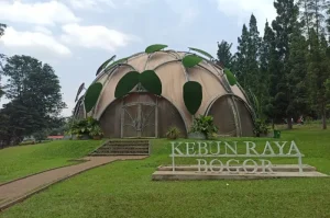 Kebun Raya Bogor, Kebun Raya Terbesar di Indonesia dengan Koleksi Tanaman Endemik