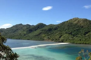 Snake Island Brazil, Pulau Penuh Misteri yang Menjadi Rumah Berbagai Ular Berbahaya
