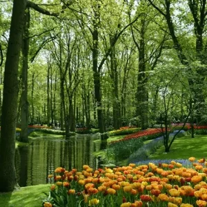 10 Tempat Wisata Terbaik di Belanda yang Menawarkan Pengalaman Unik