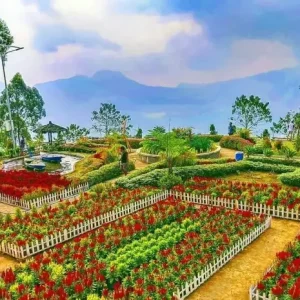 10 Wisata Alam Terbaik di Malang untuk Pengalaman Liburan yang Berkesan