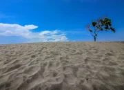 Gumuk Pasir Parangkusumo: Fenomena Alam Langka dan Sensasi Sandboarding di Jogja