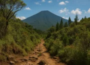 5 Jalur Pendakian Gunung Salak Terbaik untuk Para Pencinta Alam