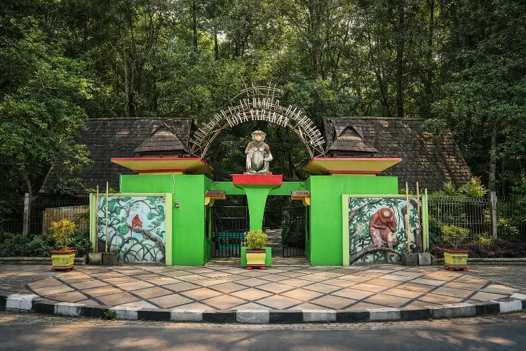 Kawasan Konservasi Mangrove dan Bekantan