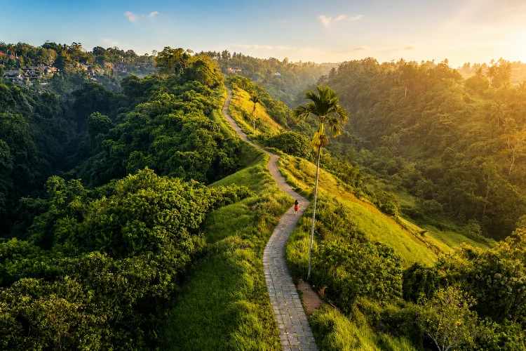 Campuhan Ridge Walk, Tempat Healing dengan Pemandangan Hijau