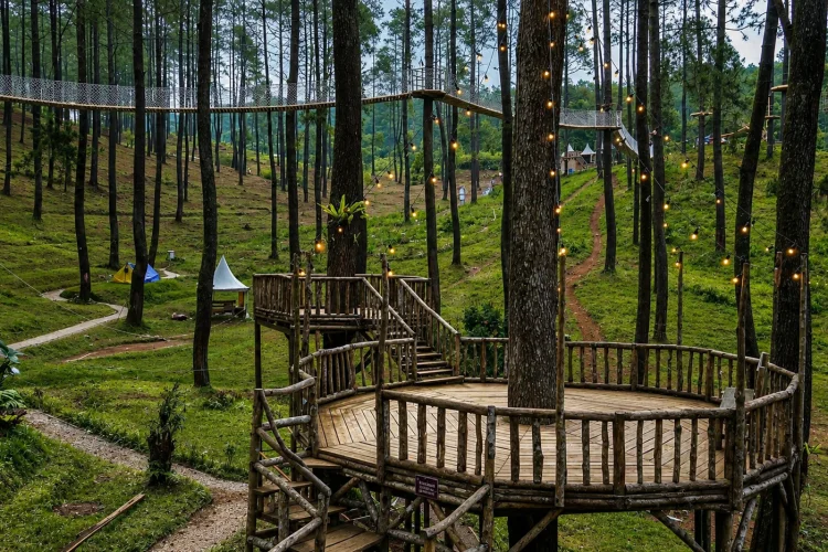 Hutan Pinus Cikole, Tempat Camping dan Outbound Favorit