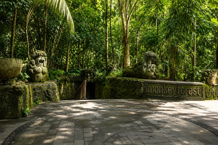 Monkey Forest Ubud, Hutan Asri dengan Ratusan Kera
