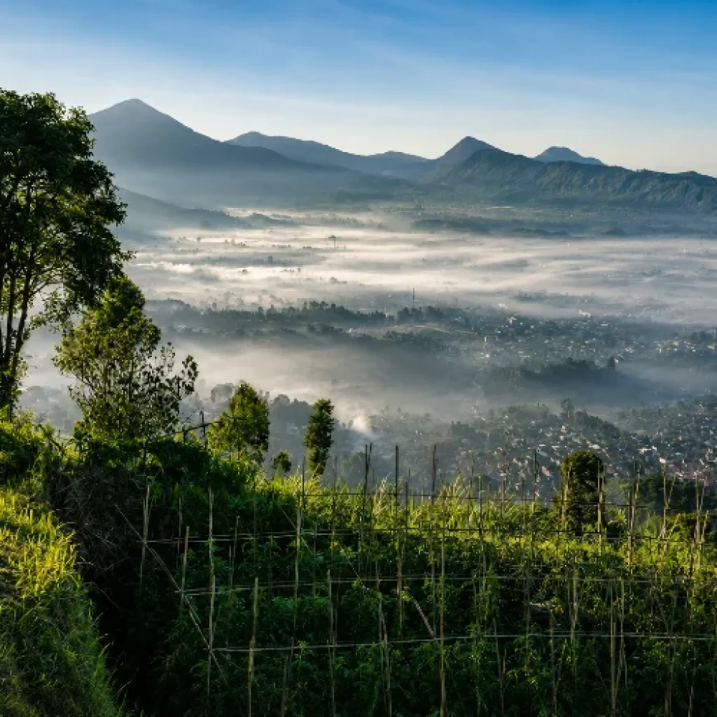 10 Tempat Wisata di Lembang yang Hits dan Seru untuk Liburan
