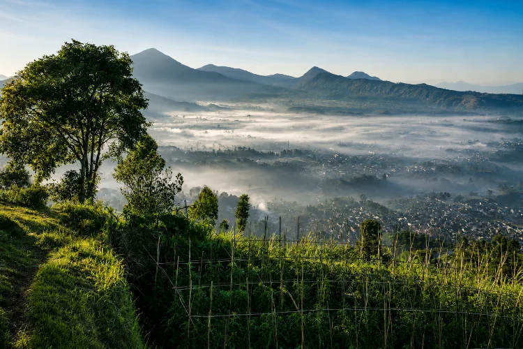 10 Tempat Wisata di Lembang yang Hits dan Seru untuk Liburan
