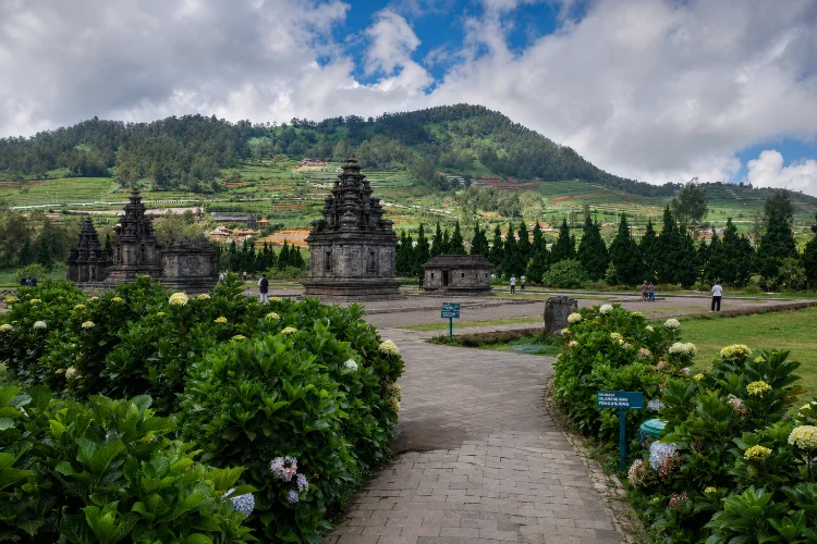 Budget Liburan ke Dieng Tentukan Dulu Gaya Liburanmu: Backpacker, Rombongan, atau Ikut Tour?